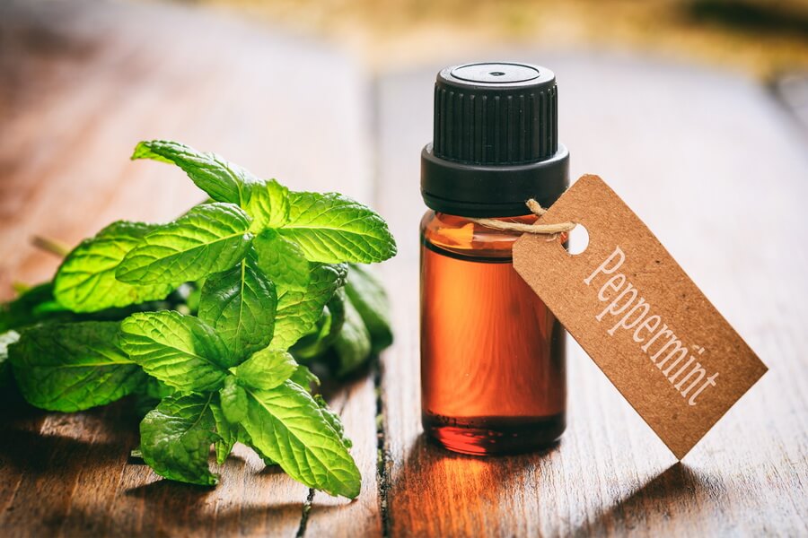 Peppermint-oil