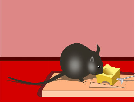 trap mice cheese rid mouse exterminators london control rodent poison traps pest drink habitat inhospitable creating vectors vents prev