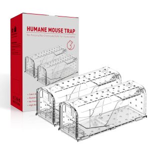 Humane Mouse Trap