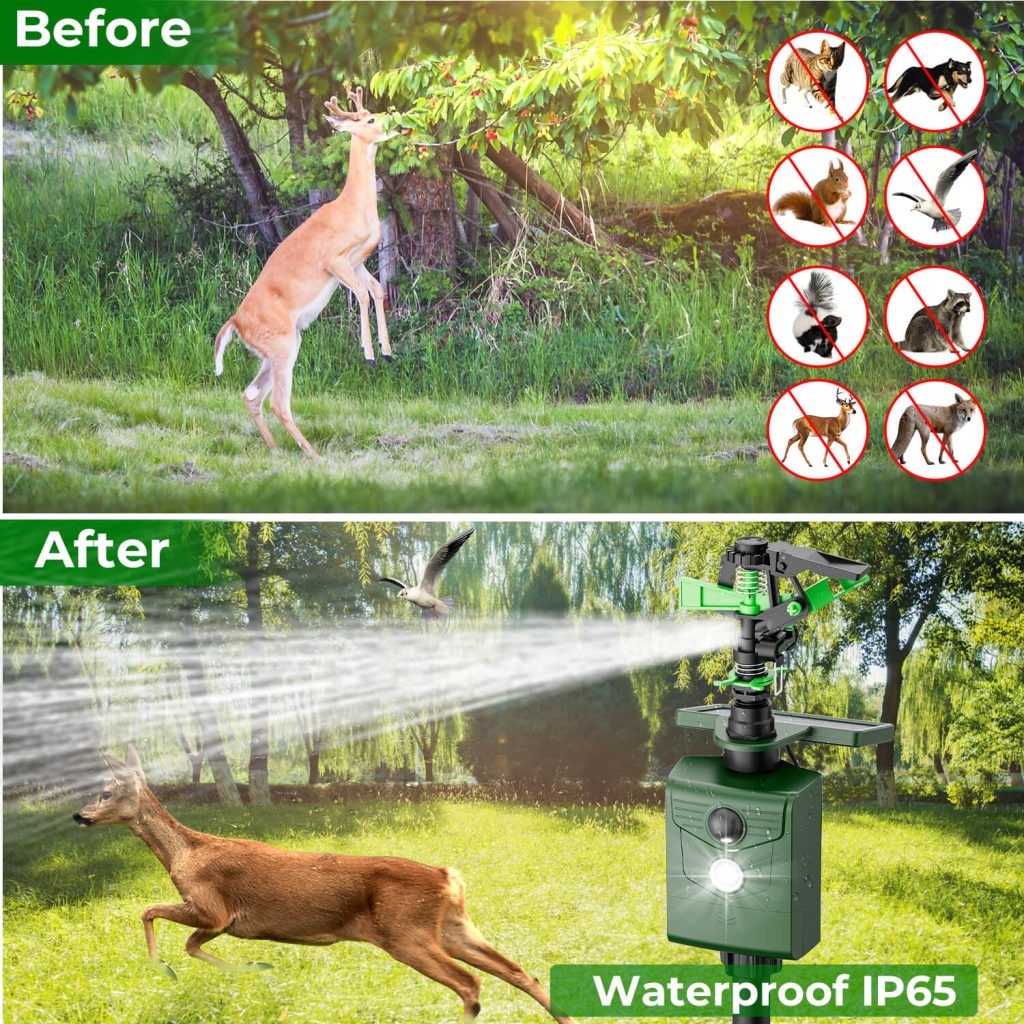 motion activated sprinklers-10