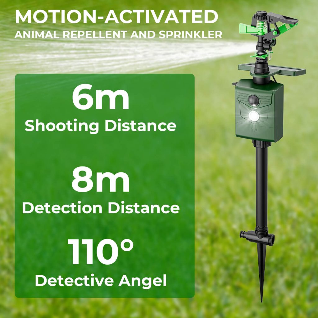 motion activated sprinklers-6